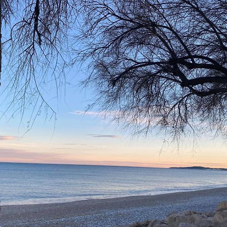 Royal park Apartment Villeneuve-Loubet Bagian luar foto
